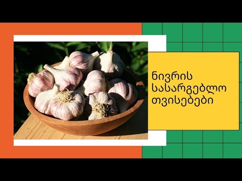 ნივრის სასარგებლო თვისებები|GKF|Kartuli|Georgia|Videos|Garlic|Health